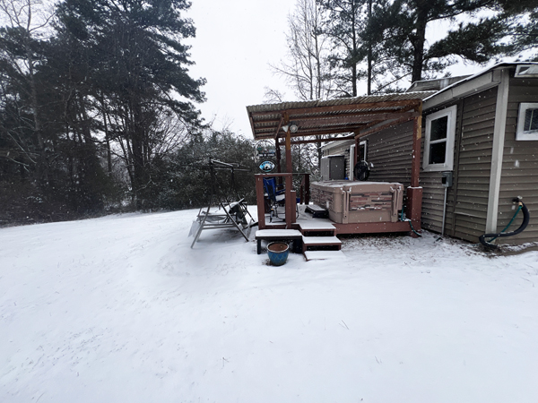 back yard