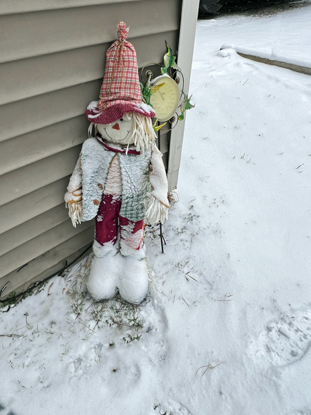 frozen scarecrow