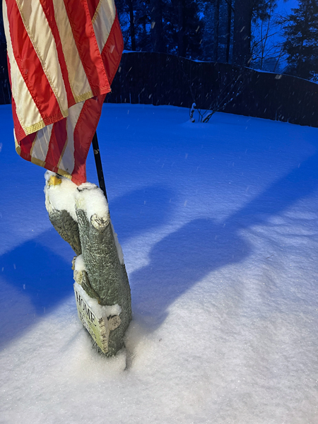 Eagle and Usa flag