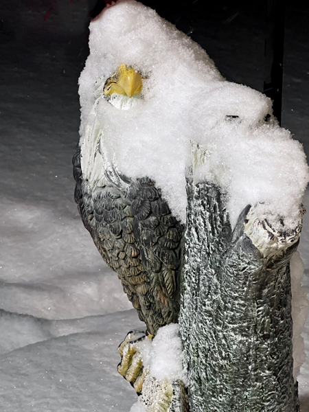 Eagle statue