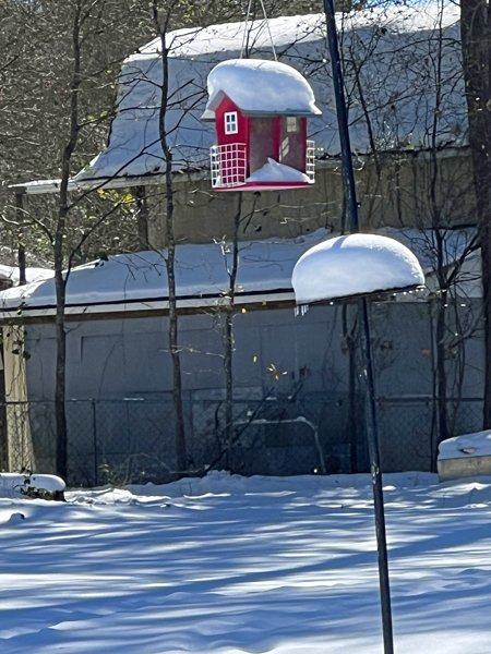 birdhouse