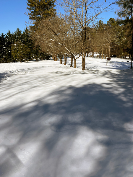 snow in Fort Mill