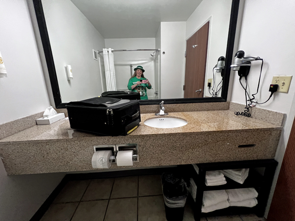 The Bathroom