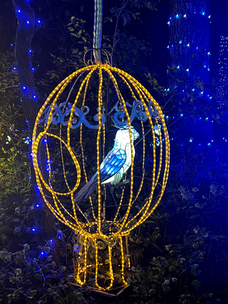 brid in a cage