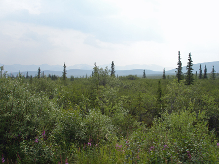 beautiful scenery at the end of the trail 