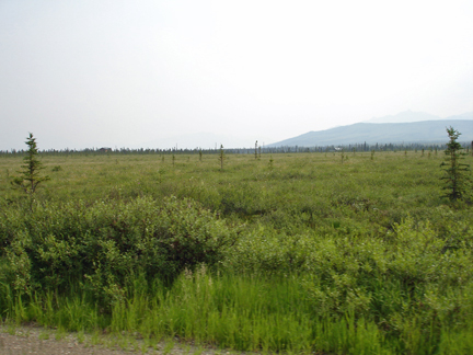 beautiful scenery at the end of the trail 
