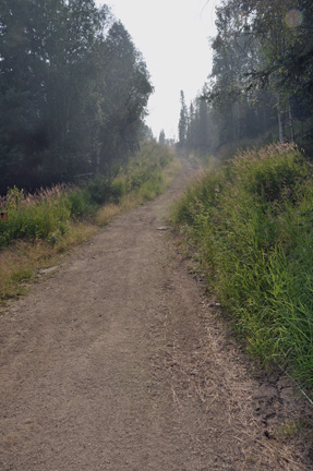 a hike up the hillside