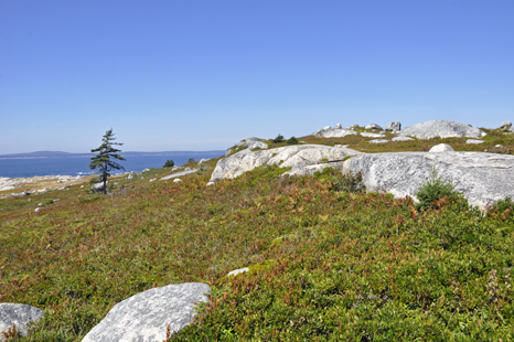 the site of the Swissair Flight III Memorial