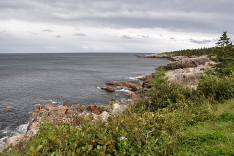 beautiful scenery at Cape Breton Highlands National Park