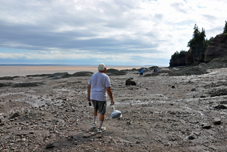 Lee Duquette and low tide at Hopewell Beach