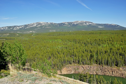Grey Mountain