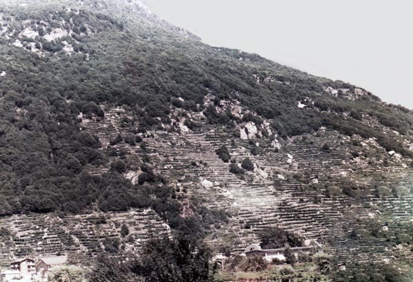 houses in the mountains