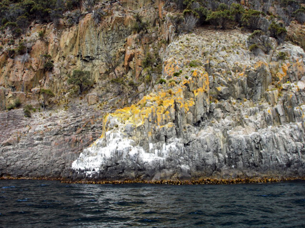 Bruny Island