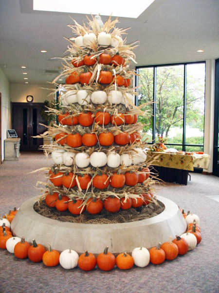 pumpkin tree