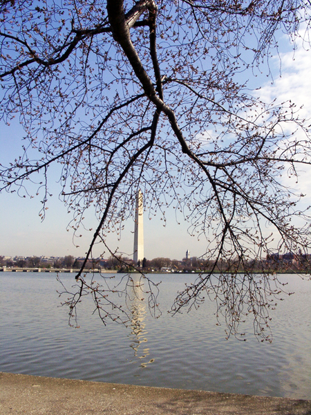 Washington Monumen