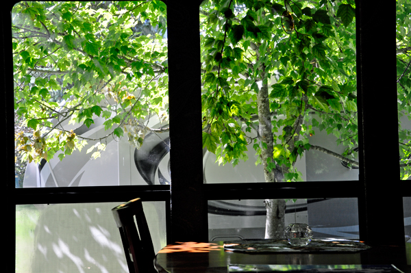 View out the dining room window 