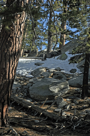 scenery and some old snow
