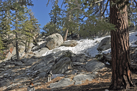 Lee climbs a small rocky hill that has patches of icy snow