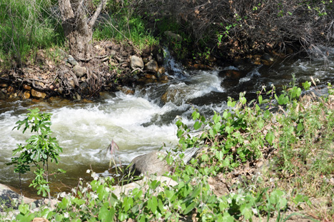 the river directly in front of our RV