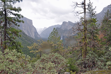 View from the trail