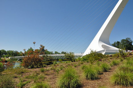 the bridge and pylon as seen from the side