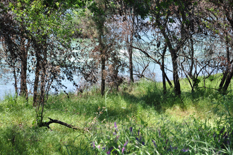 The two RV Gypsies found the perfect spot for lunch