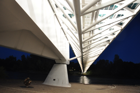 view from under the bridge at night