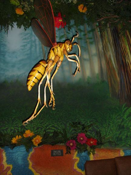 a big ant in the restaurant