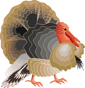 turkey running